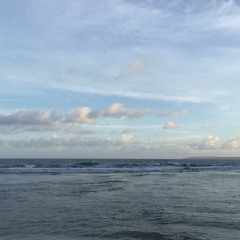 Someday short cover by Nina