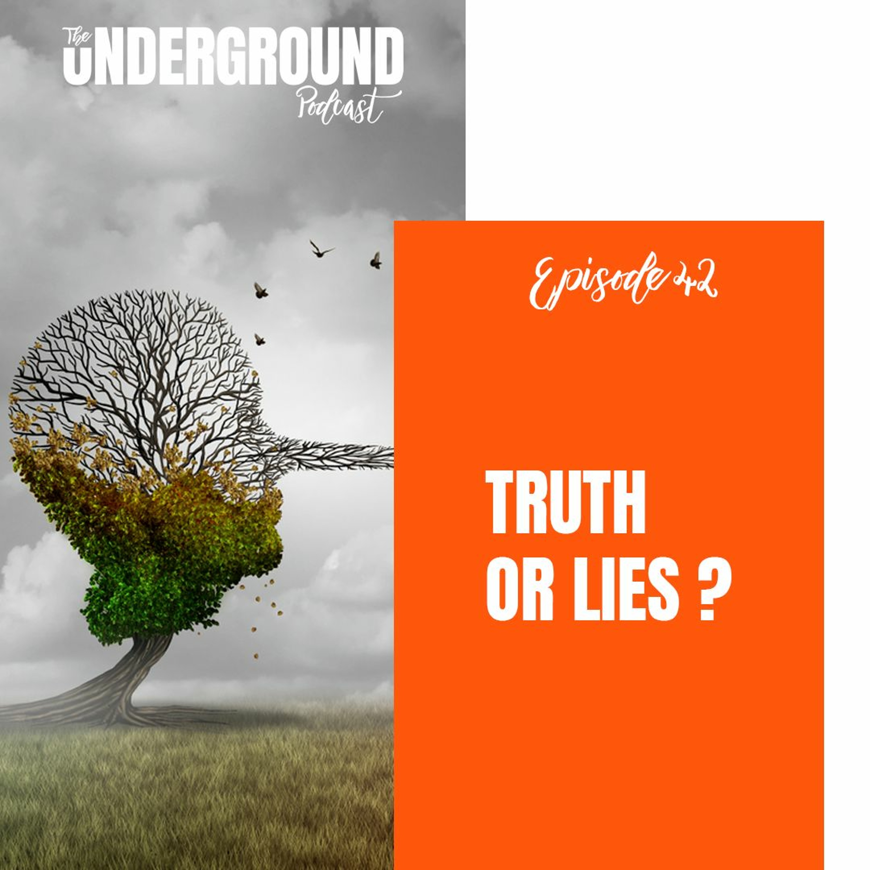 Episode 42: Truth & Lies