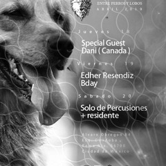 Dani (Live Set) @ Entre Perros y Lobos - Mexico City, Mexico