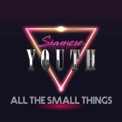 Siamese Youth - All The Small Things (Blink-182 Synthwave Cover)