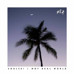 soulse! - not real world