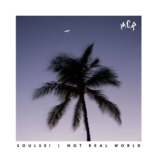 soulse! - not real world