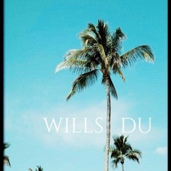 Luci x Mavn feat le Socca  - Willst Du (prod. by Young Swisher Beats)