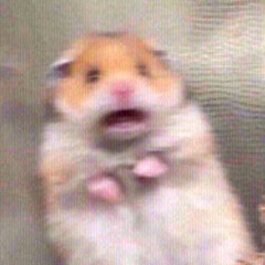 Help my dentist is evil