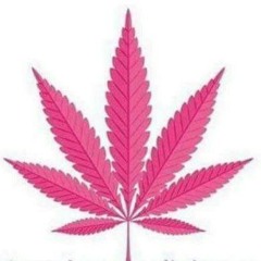 Dj rogo's monta Musica - new monkey mashup