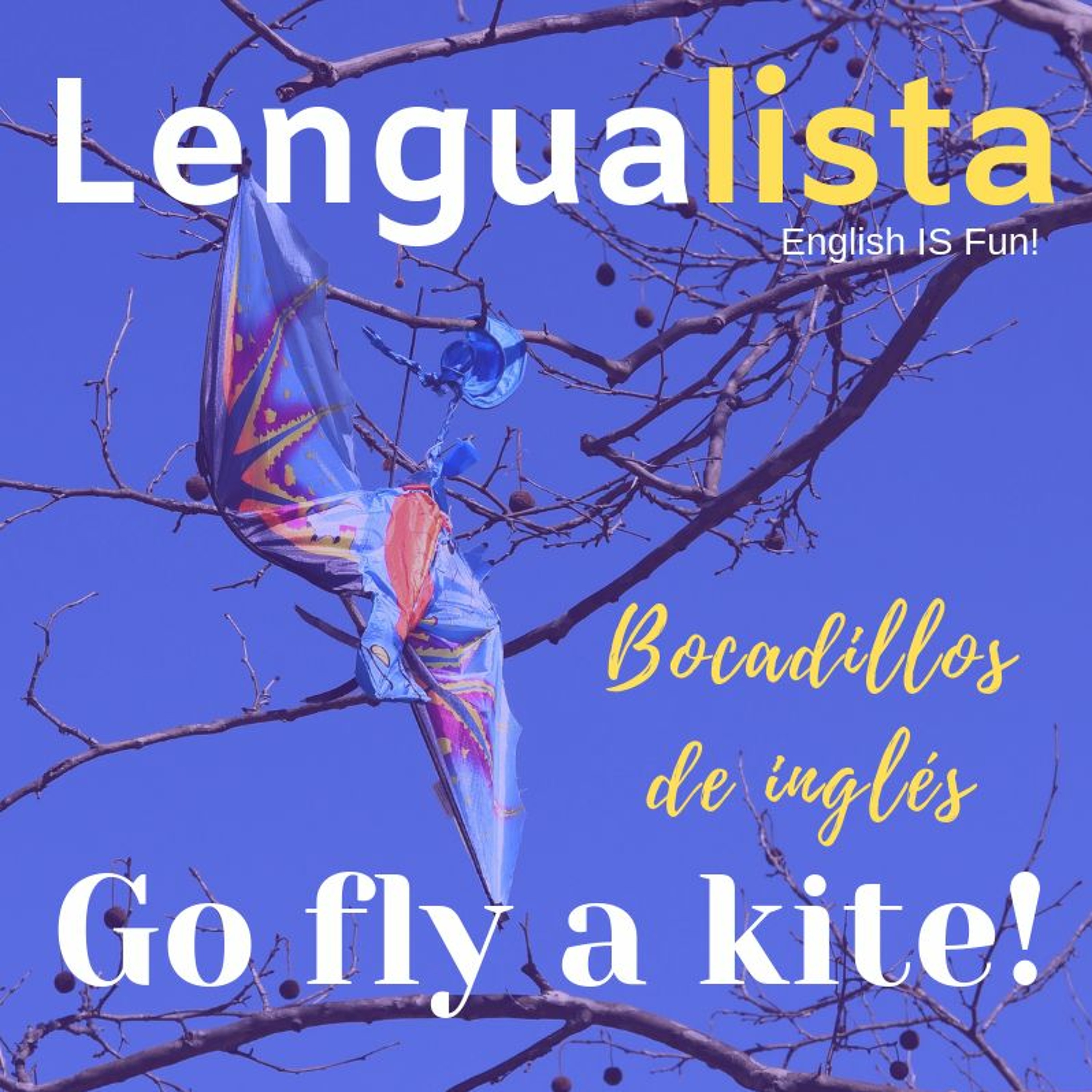 Go Fly A Kite episode artwork