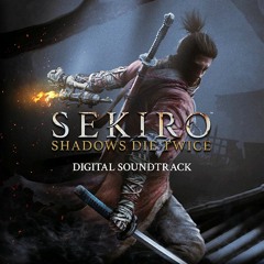 Sekiro, the One Armed Wolf