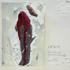 Lebip - Shouts And Murmurs