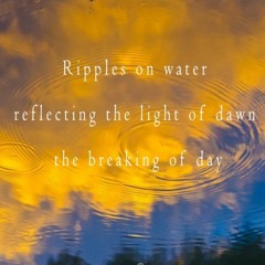 Dawn ripples through your life - naviarhaiku279