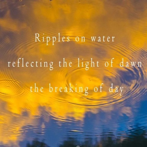 Dawn ripples through your life - naviarhaiku279