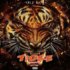 Tigre Freestyle