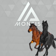 Lil Nas X - Old Town Road (ft. Billy Ray Cyrus) (Montis Hardstyle Bootleg)