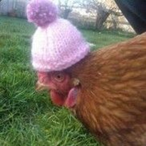 Karr - Be quiet bitch