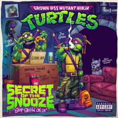 Super Saiyan Ninja Turtles 4 - (G​.​A​.​M​.​N​.​T​.​)