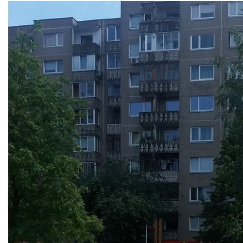 Сережа Местный -- Муси Пуси 2