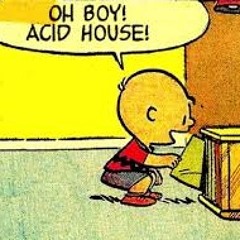 acid house vol. 13