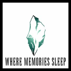 Fun-Shots: Where Memories Sleep