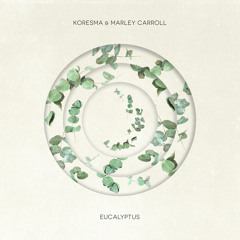 Koresma x Marley Carroll - Eucalyptus