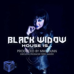 Black Widow - House Is ....  (Mike Dunn BlackBall Vokal MixX)