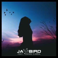 Jay Bird Feat Danni Carra- Let You Down