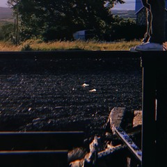 duh duh duh prod. (me<3) feat. dougie *exclusive