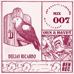 ØEN & HAVET mix series 007 - Deejay Ricardo