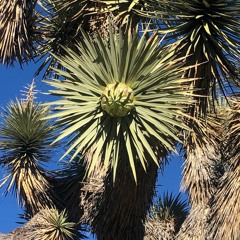 Spirit Ventures 2: Time Travel