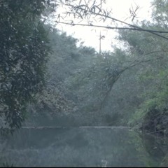 n-buna - Silence ft. Sarah Furukawa