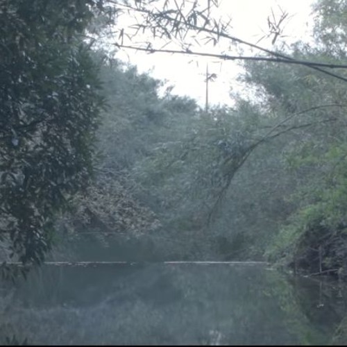 n-buna - Silence ft. Sarah Furukawa