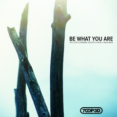 Be What You Are feat. Silke Schiemann, Disaster of Music, musicbrain