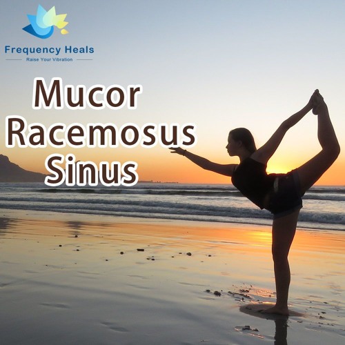 Stream Frequency Heals - Mucor Racemosus Sinus (BIO) by Frequency Heals ...