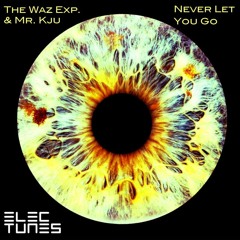02.The Waz Exp. & Mr.Kju - Never Let You Go (ENNE´s Balearic Rmx)Snippet