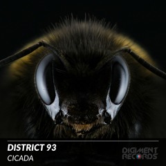 District 93 - Cicada