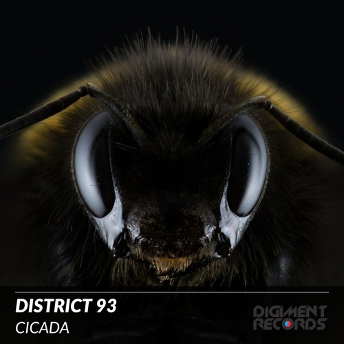 District 93 - Cicada