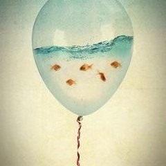 Detroit Droplet