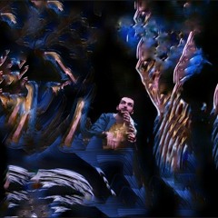 blindseeds - Kill The Room Service (Nagemas_  Remix)