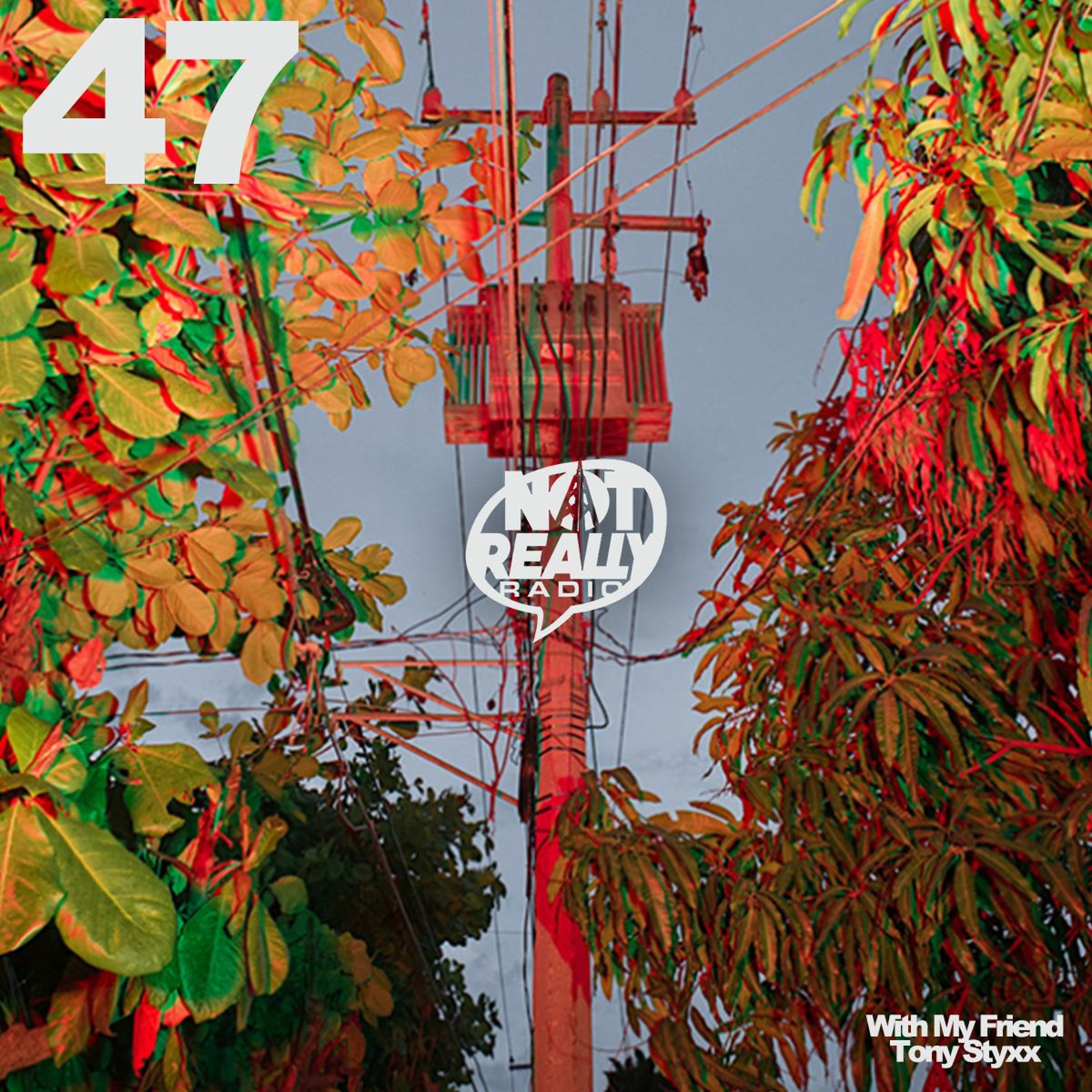 Not Really Radio Episode 47 w/ Tony Styxx episode artwork