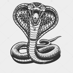 cobra