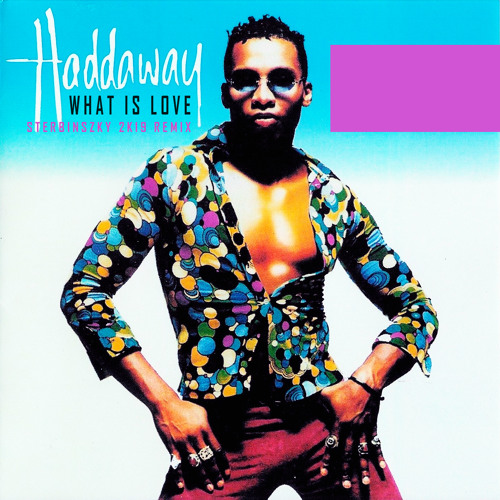 Stream haddaway what is love sterbinszky 2k19 remix by sterbinszky listen online for free 