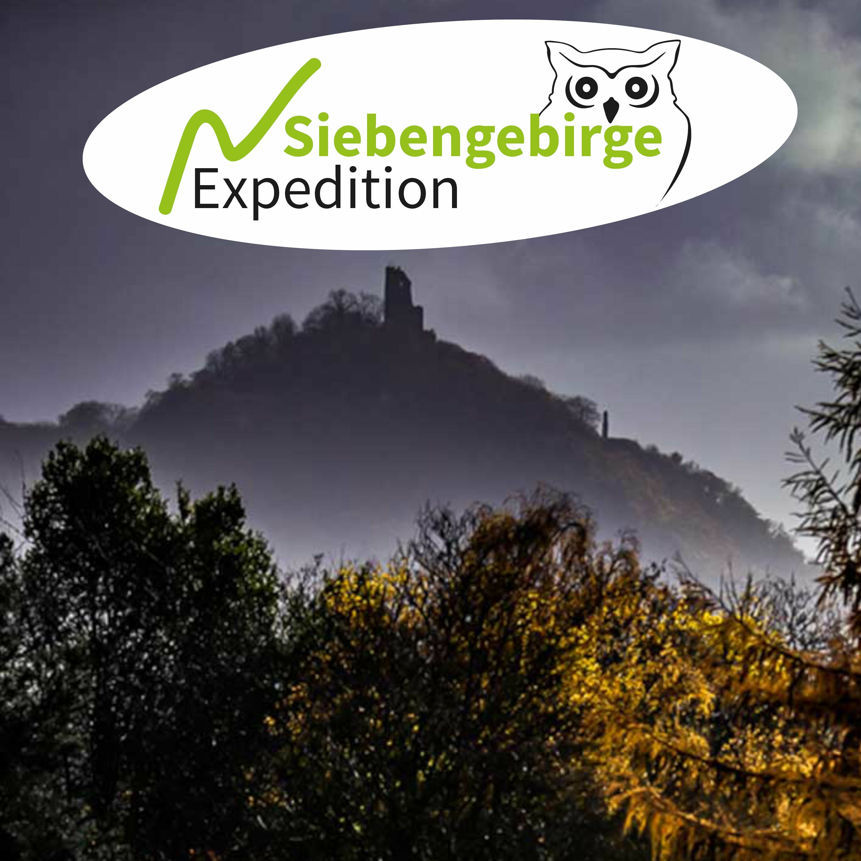 Rosi Würtz spricht...