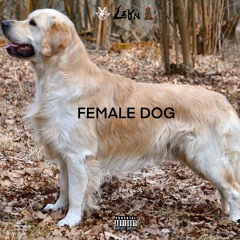 Lean X Female Dog