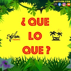 Styl'em - Que Lo Que (Reggaeton & Latin Mixtape) (2019)