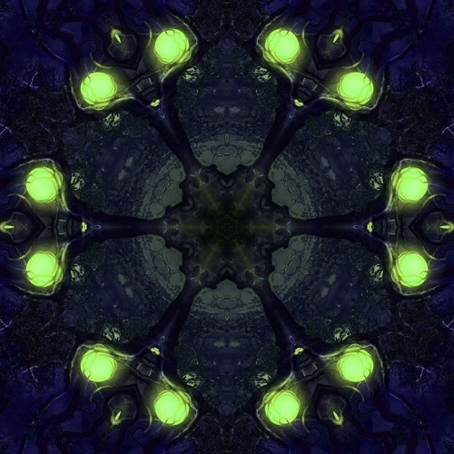 Apocalypto (preview) 150bpm