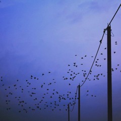 cold mode(SalviaPalth flip)