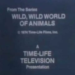 Beatrice Witkin & Gerhard Trede - Wild, Wild World Of Animals