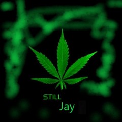 STILL JAY