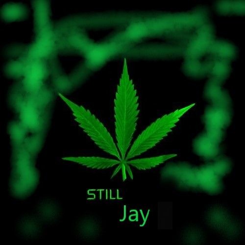 STILL JAY