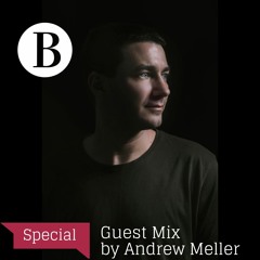 Beach Podcast Special Mixed by Andrew Meller