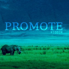 PROMOTE RIDDIM \\ VERSION TEST \\ DSNSKY PROD 2017