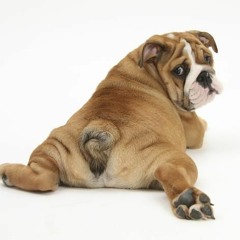 Wax Motif - Number 1 Girl